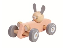 28207 - 5717 PlanLifestyle - Bunny Racing Car