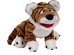 W786_Paco_Der_Tiger_2.jpg